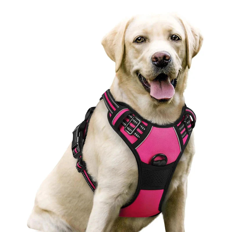 Dog Harness No Pull with 2 Leash Clips, Adjustable Soft Padded, Reflective Oxford No Choke Pet Vest with Easy Control Handle PawsnHeart