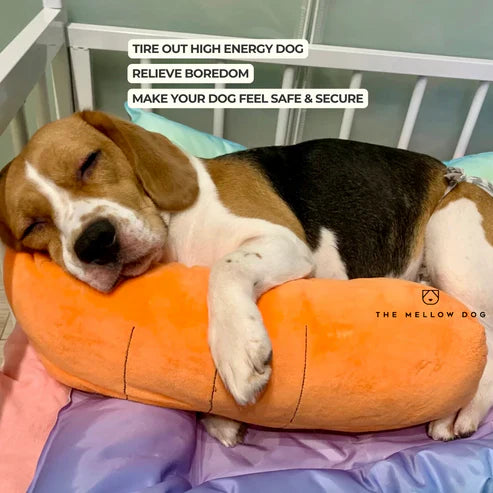 Calming Carrot PawsMagics