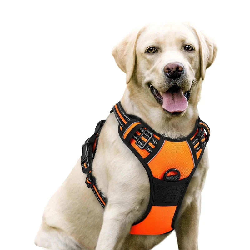 Dog Harness No Pull with 2 Leash Clips, Adjustable Soft Padded, Reflective Oxford No Choke Pet Vest with Easy Control Handle PawsnHeart