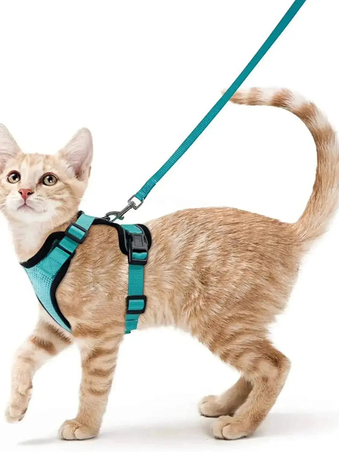Cat Harness and Leash for Walking, Escape Proof Soft Adjustable Vest Harnesses for Cats, EasyControl PawsnHeart
