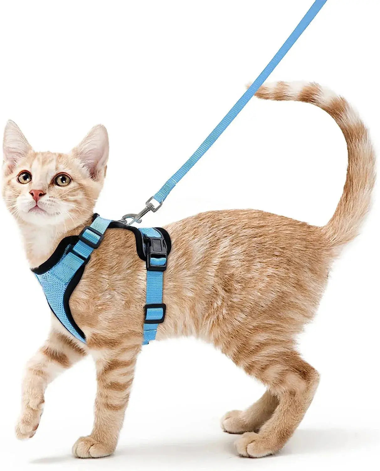 Cat Harness and Leash for Walking – Escape Proof, Soft &amp; Adjustable Vest Harnesses PawsnHeart