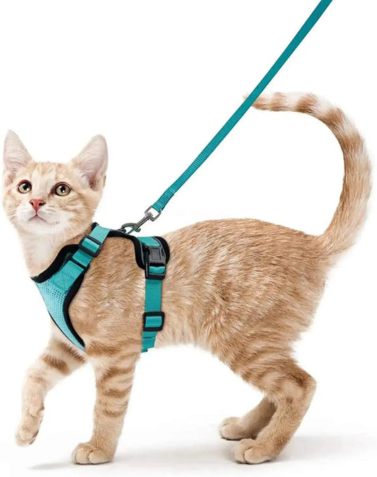 Cat Harness and Leash for Walking – Escape Proof, Soft &amp; Adjustable Vest Harnesses PawsnHeart