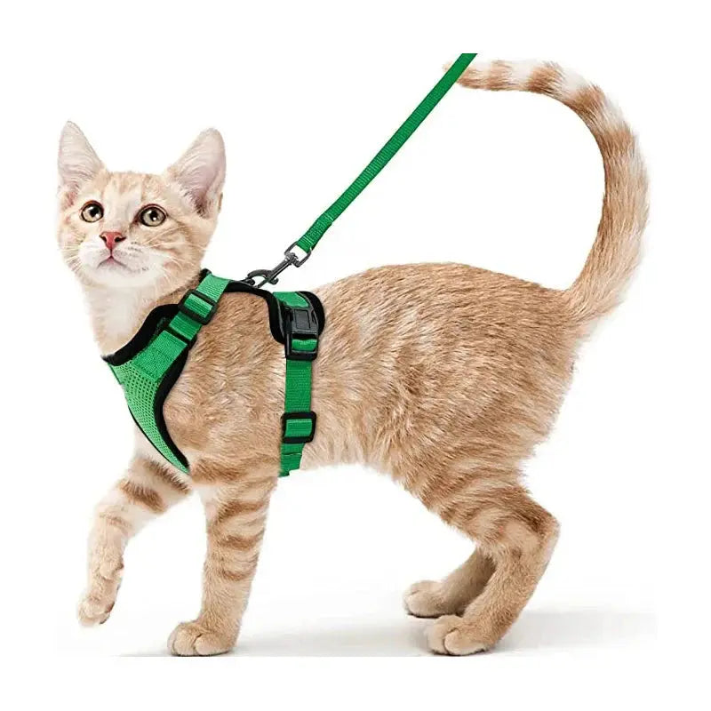 Cat Harness and Leash for Walking, Escape Proof Soft Adjustable Vest Harnesses for Cats, EasyControl PawsnHeart