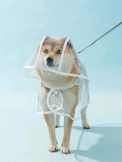 Dogs going out, transparent waterproof raincoat with hat pet raincoat PawsnHeart