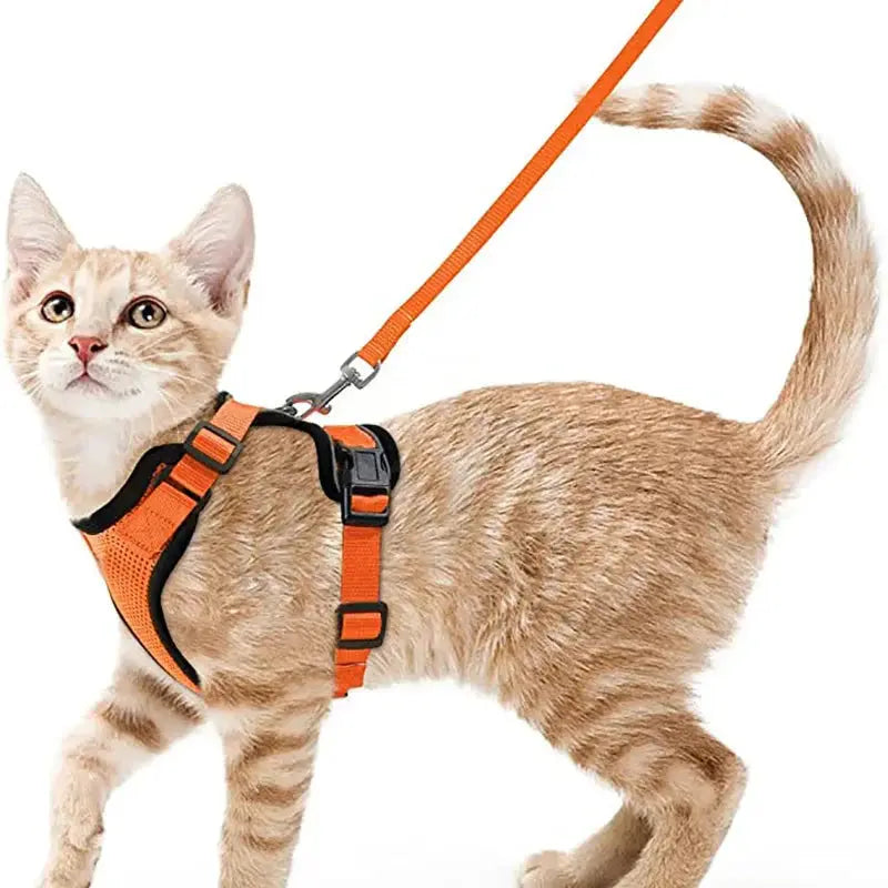 Cat Harness and Leash for Walking, Escape Proof Soft Adjustable Vest Harnesses for Cats, EasyControl PawsnHeart