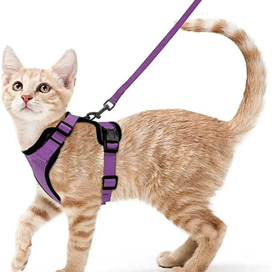 Cat Harness and Leash for Walking, Escape Proof Soft Adjustable Vest Harnesses for Cats, EasyControl PawsnHeart