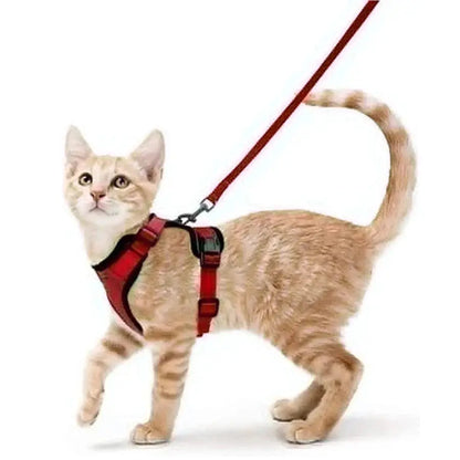 Cat Harness and Leash for Walking, Escape Proof Soft Adjustable Vest Harnesses for Cats, EasyControl PawsnHeart