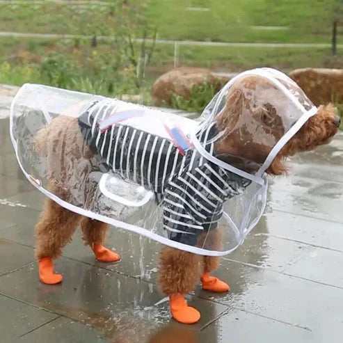 RainyWoof™ PawsnHeart