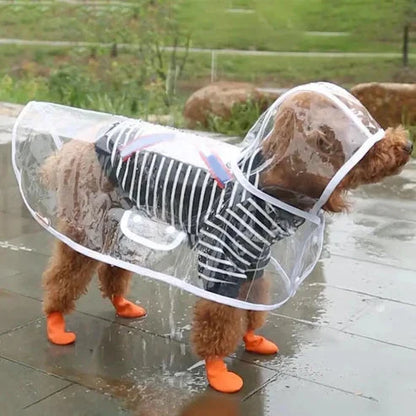 RainyWoof™ PawsnHeart